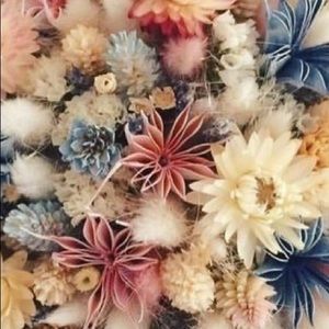 Meet your Posher, Ellie